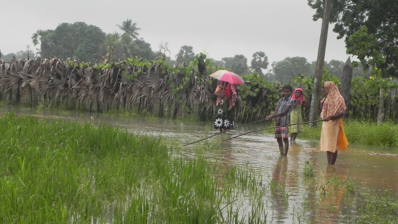 Inondations au Sri Lanka : Handicap International prépare une intervention auprès des populations affectées 