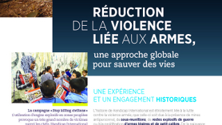 Brochure armes