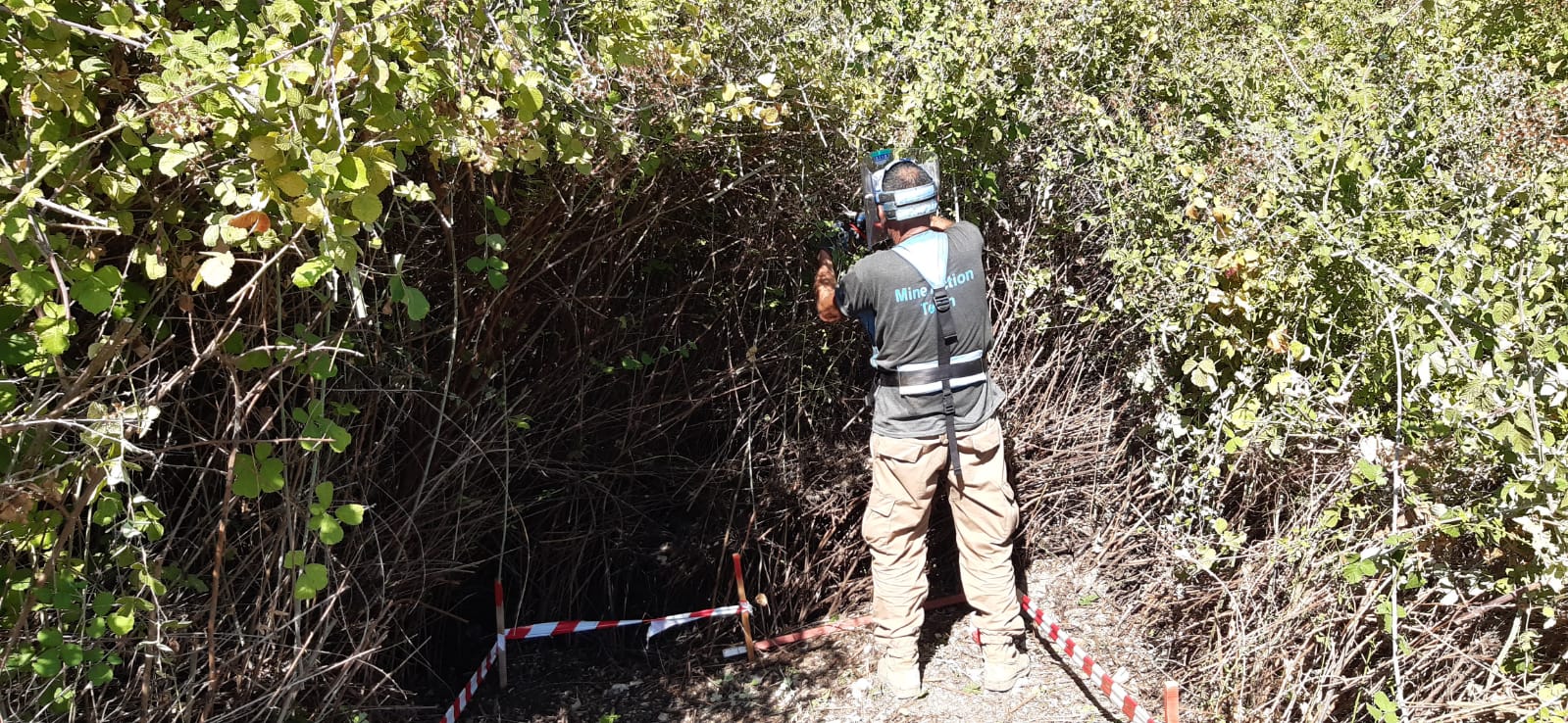 UN démineur débroussaillant la végétation avant d'utiliser un détecteur de métal
