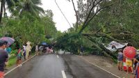 Conséquences du typhon Mangkhut à Visayas