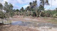 Dommages causés par le typhon Mangkhut