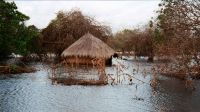 IMAGE D'ARCHIVE : inondations au Mozambique en janvier 2000.
