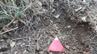 Mine antipersonnel israélienne trouvée et marquée par un triangle rouge par l’équipe de déminage HI dans le village de Btater dans le district d’Aley au Liban. 