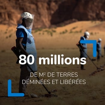 40 ans de Handicap International : 80 millions de mètres carrés de terres déminées